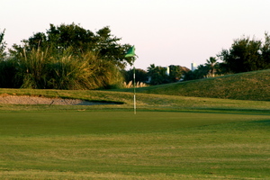 SW 18 2.JPG