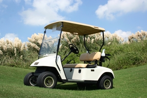 SW cart.JPG